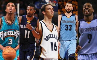 以及肋部的 以及肋部的