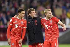 替的鲜活注 替的鲜活注